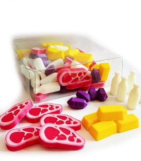 منابع 3 بعدی بازی ویرمسپن Wyrmspan