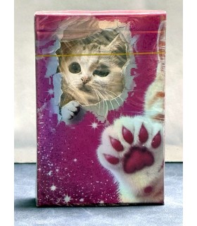 کارت بازی گربه Playing Card Cat