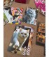کارت بازی گربه Playing Card Cat