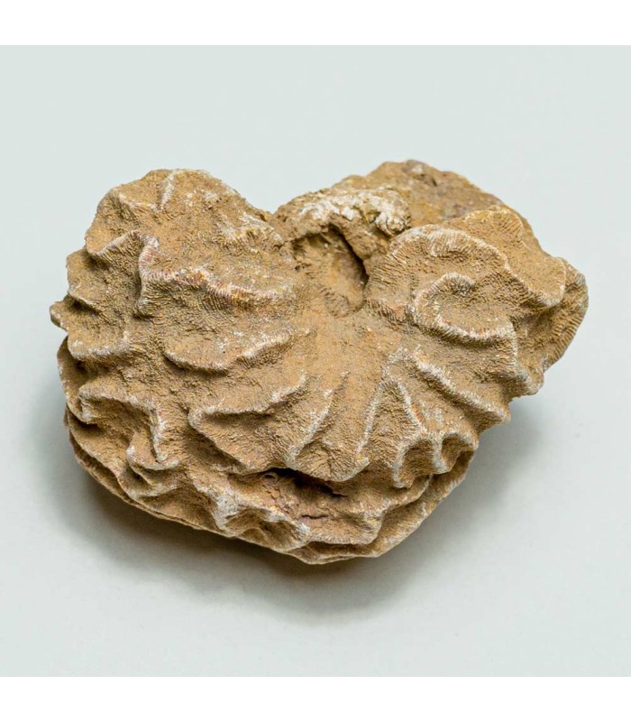 بازی آموزشی حفاری سیارات منظومه شمسی