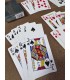 کارت بازی بایسیکل بوتانیکا سرخابی Playing Card Bicycle Botanica