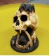 برج تاس مدل اسکلت جمجمه مدل رتیل Dice Tower Skull
