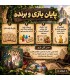 بازی ایرانی ویرانه های گمشده آرناک Lost Ruins of Arnak