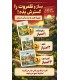 بازی ایرانی کاتان در سفر کارتی Catan: On the Road