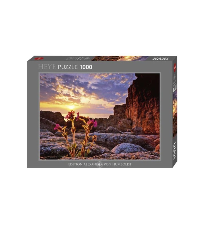 پازل 1000 تکه (Red Campion)