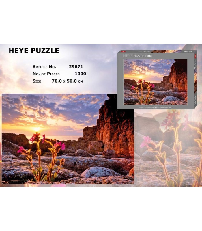 پازل 1000 تکه (Red Campion)