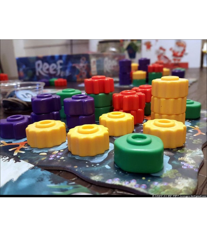 صخره مرجانی (Reef)