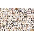 پازل 2000 تکه World of Dogs