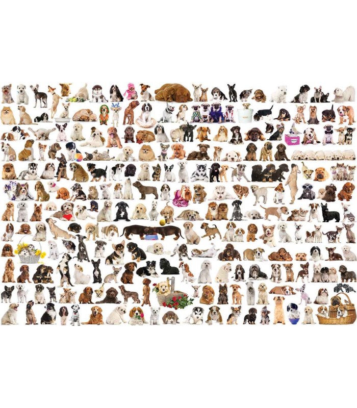 پازل 2000 تکه World of Dogs