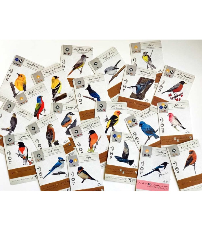 بازی ایرانی وینگسپن (Wingspan)