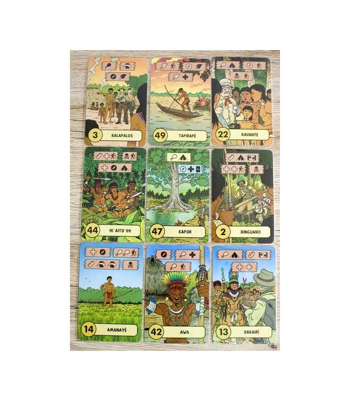 بازی The Lost Expedition