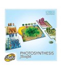 بازی ایرانی فتوسنتز بازیمن (Photosynthesis)