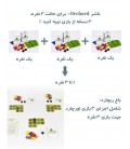بازی ایرانی باغ ریچارد (orchard)