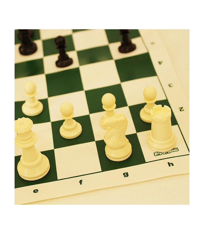 بازی ایرانی شطرنج