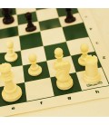 بازی ایرانی شطرنج