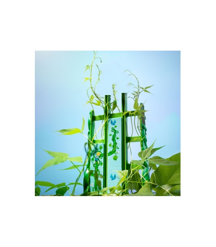 بازی ایرانی جک و لوبیای سحر آمیز