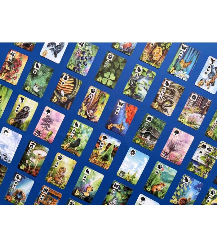 بازی ایرانی چمنزار meadow