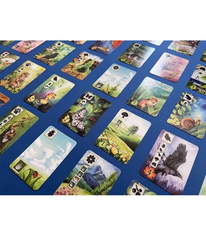 بازی ایرانی چمنزار meadow