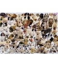 پازل 1000 تکه سگ ها dogs galore ravensburger