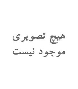 بازی ایرانی شیر مرغ